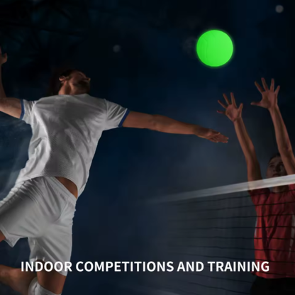 Glow-in-the-Dark Volleyball