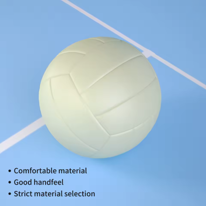 Glow-in-the-Dark Volleyball